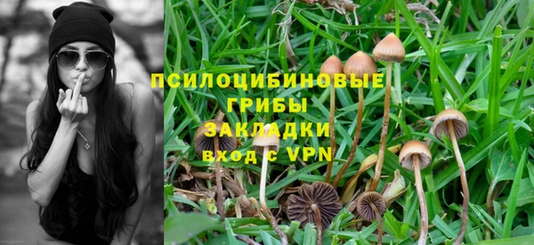 дживик Алексеевка