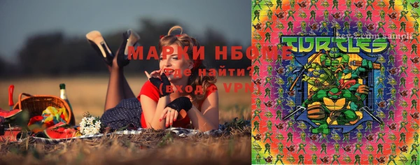 крисы Кодинск