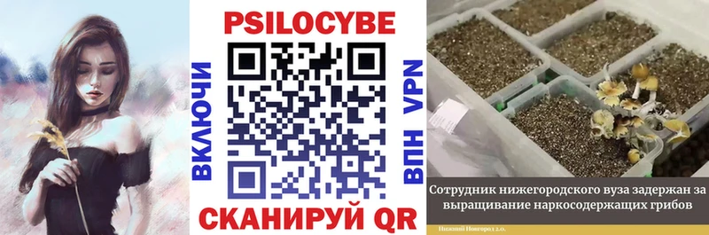 Галлюциногенные грибы GOLDEN TEACHER Мыски